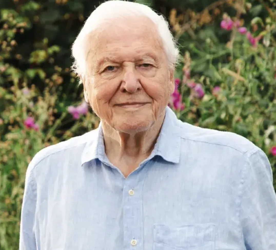 BBC Marks Sir David Attenborough’s 100th with Epic Week of New Shows and Classics