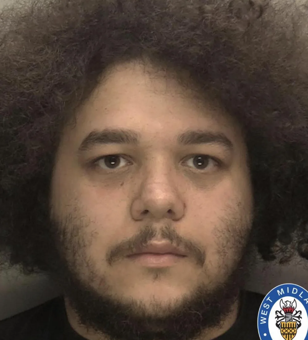 Car Thief Keltonjay Martin Pleads Guilty to £400k Black Country Steal Spree