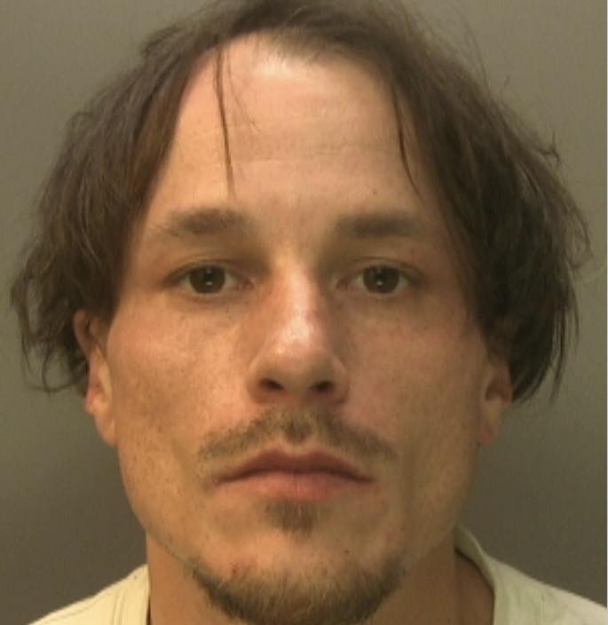Teo Tewson-Bozic Sentenced to 15 Years for Teen Abuse Near M4 Corridor