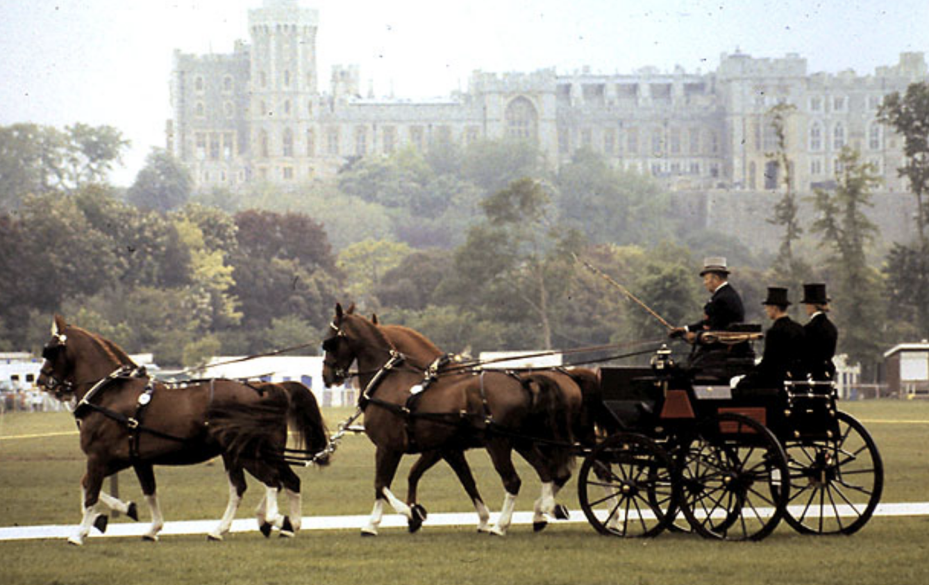 Soldier Dies Following Horsefall at Prestigious Equestrian Event