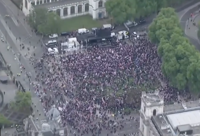 Met Police Detain 11 During 80,000-Strong Rival London Demonstrations
