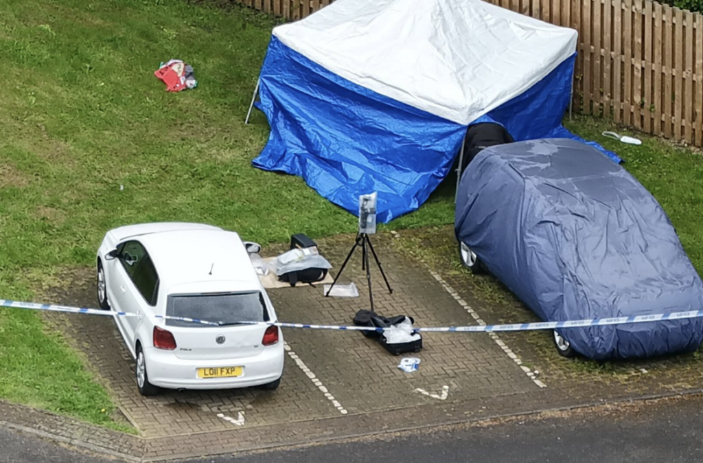 Several Arrested Following Stabbing Incident Involving Woman