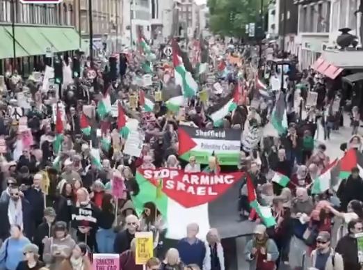 Man from Plymouth Arrested over Racial Hatred at London Nakba Protest