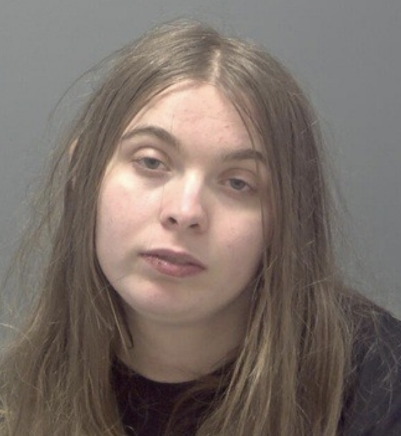 Woman Sentenced for Attempted Arson and Threats at Support Centre