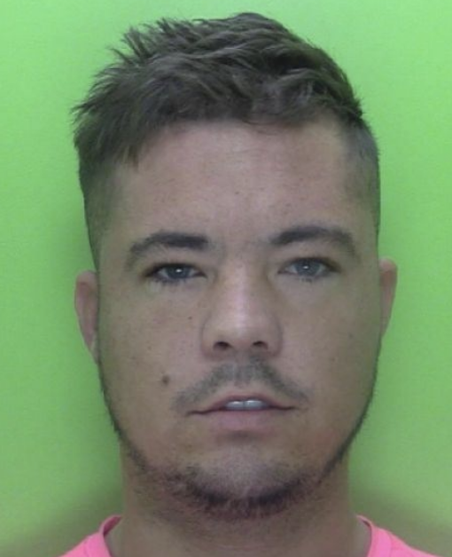 Drug Dealers Sentenced for Cocaine and Cannabis Supply Along M4 Corridor