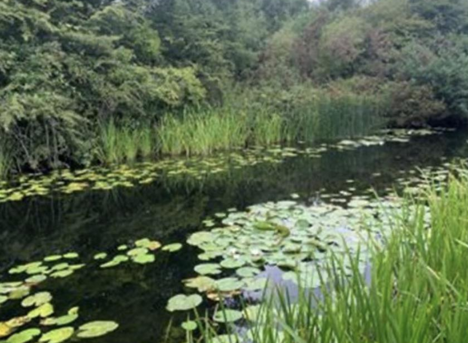 Police Renew Appeal Over Baby Found in Canal Five Years Ago