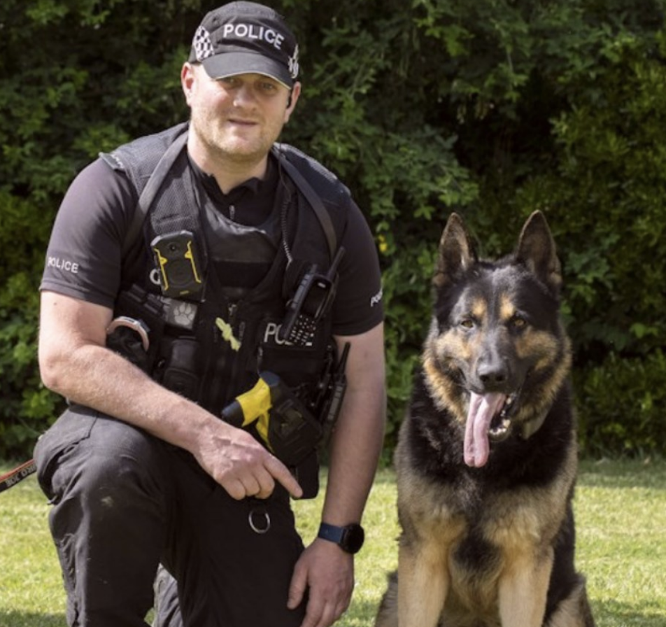 Police Dog PD Kaiser Crowned Top Canine Across England and Wales