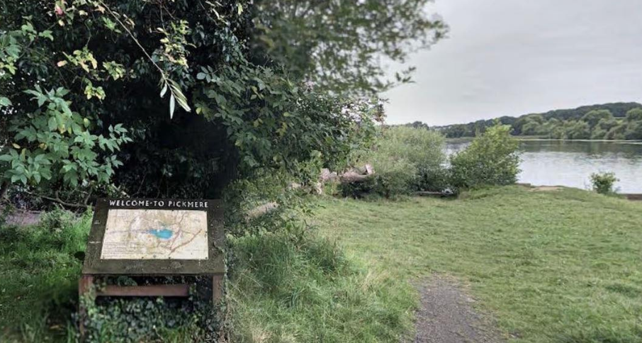 Search Launched for Missing Teen Near Pickmere Lake