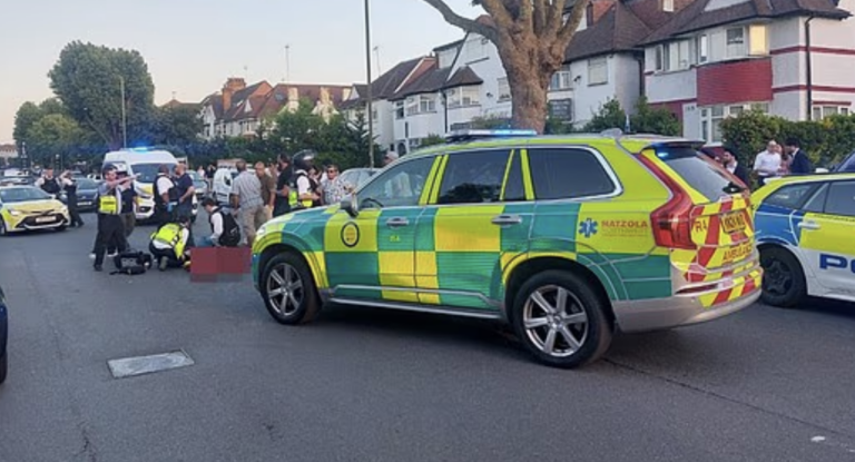 Iranian Man Fighting for Life Following Hit-and-Run Near M25 Corridor