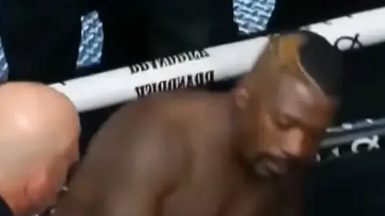 Ray J Suffers KO in MMA Bout Months After Health Scare