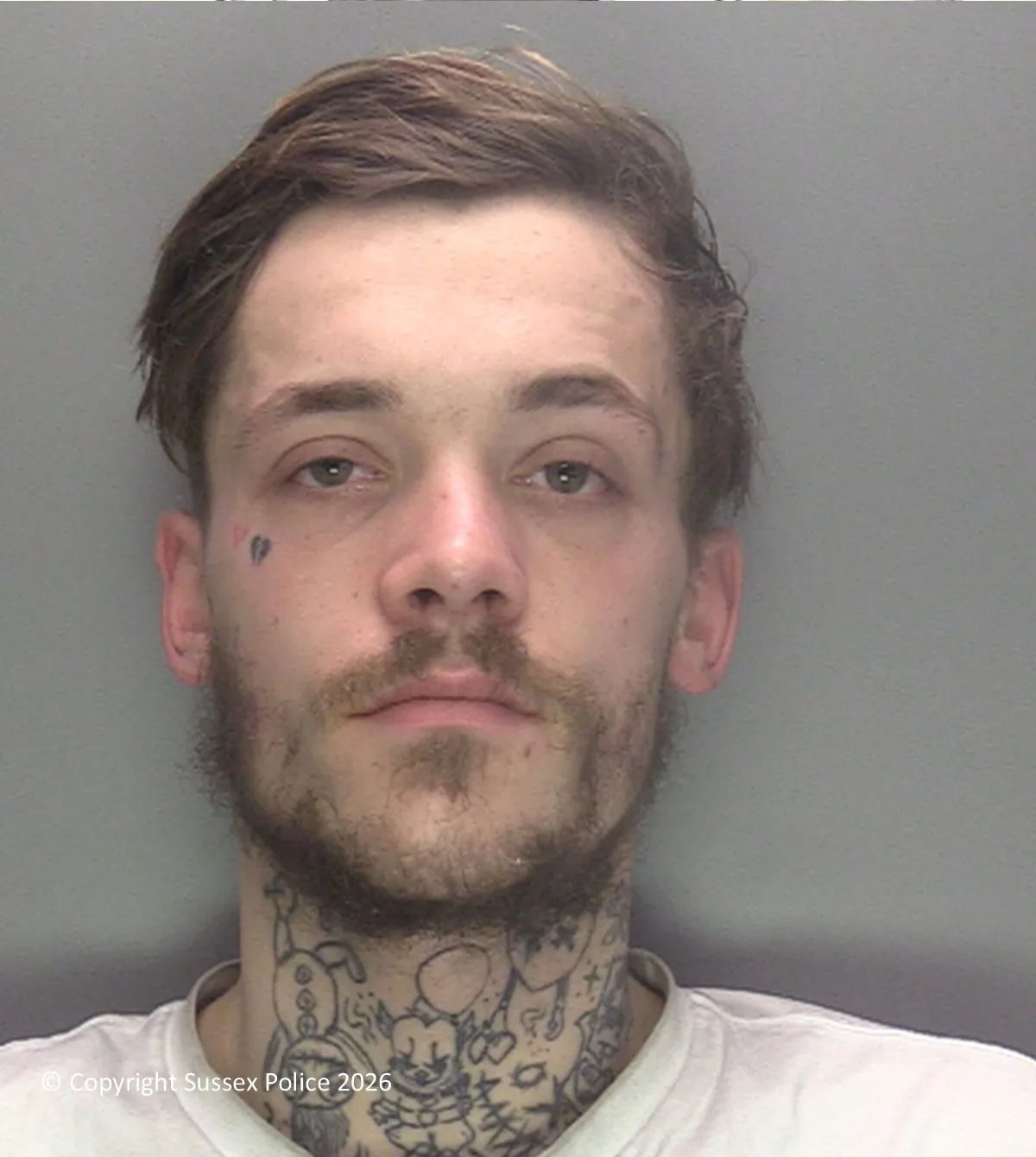 Man sentenced for park robbery and attempted card fraud near M4 corridor