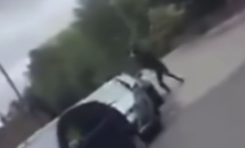 Man Arrested on M4 Corridor for Criminal Damage and Offensive Weapon