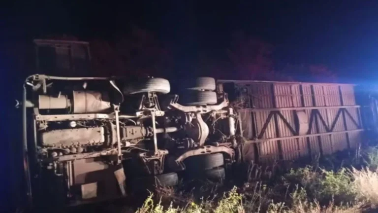 Seven Young Basketball Players Die in Bus Crash Following Tournament Victory