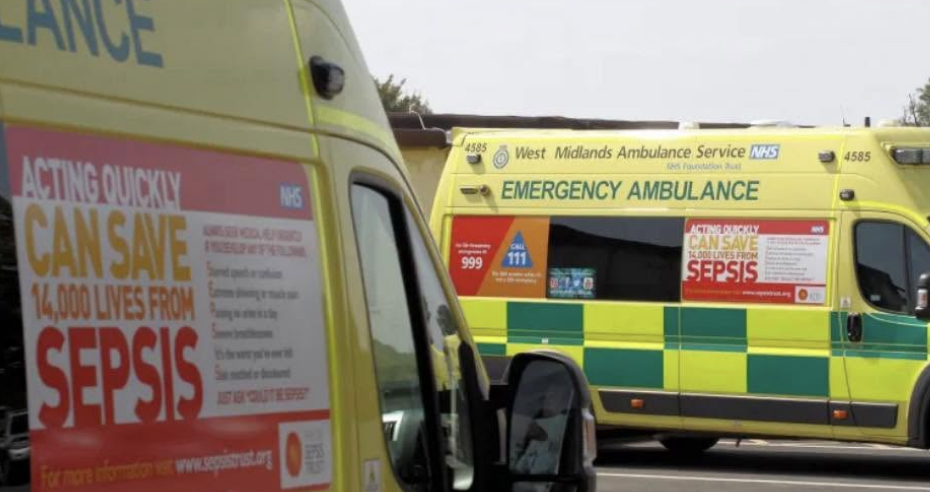 Man Dies After Car Crashes Into Tree on Busy Commuter Route