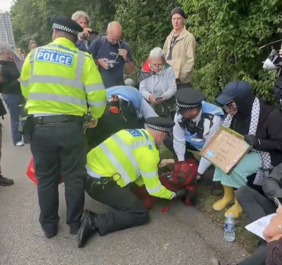 72 Detained as Hundreds Rally During Palestine Action Sentencing