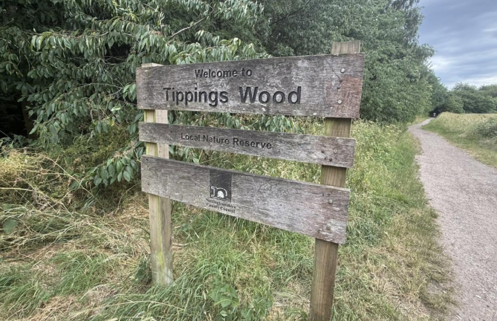 Specialist Ambulance Team Responds to Rescue in Tippings Wood Rainworth