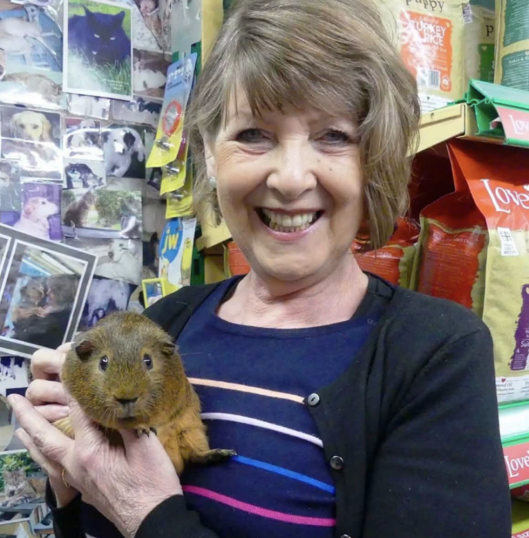 Pet Shop Owner Dies in Head-On Collision on M4 Corridor; Crash Probed as Murder