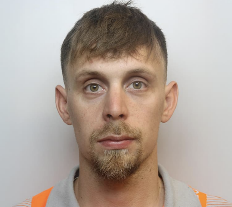 Wiltshire Tree Surgeon Who Assaulted Pregnant Partner Spared Immediate Jail