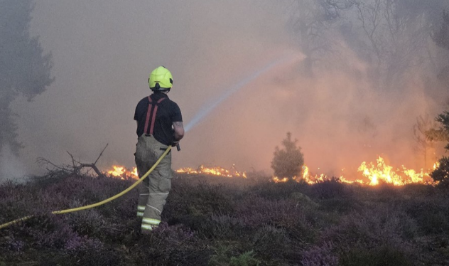 Major Incident Declared as Massive Suffolk Wildfire Burns Near Sizewell B Nuclear Power Station