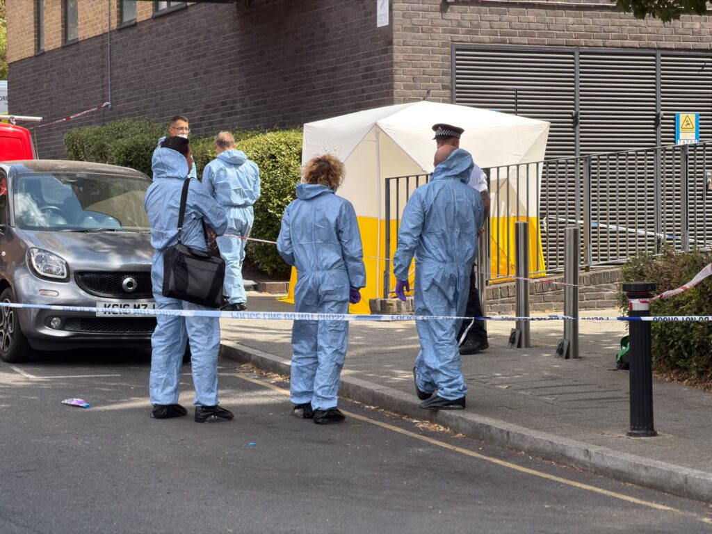Woman Dies After Emergency Services Called to Ladywell Incident