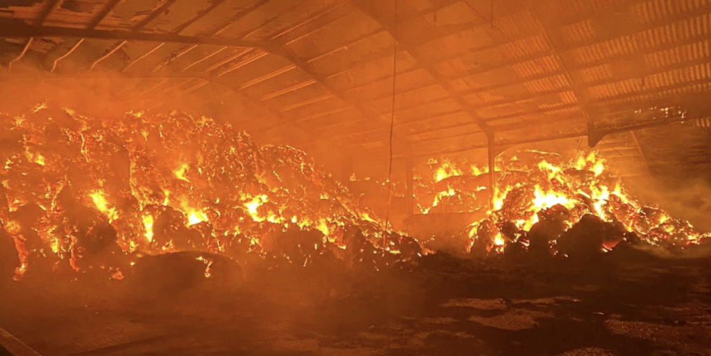 Firefighters face busy weekend tackling major incidents across Dorset and New Forest