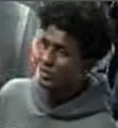 CCTV released in urgent hunt for man after multiple sexual assaults on trains