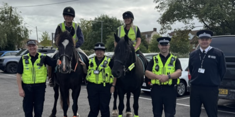 Police stop 24 drivers in Wiltshire crackdown on motorists passing horses too closely