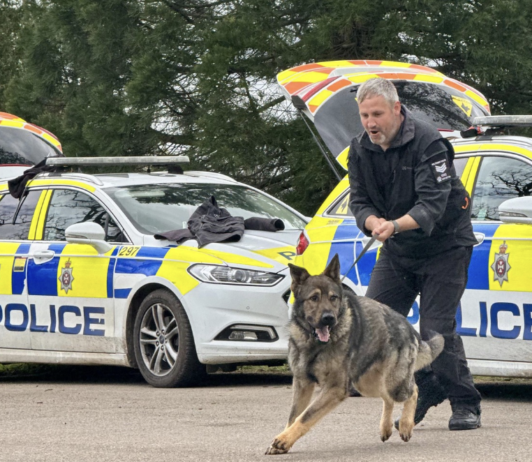 Two Wiltshire Police dogs put to sleep after testing positive for Brucella canis